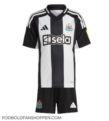 Newcastle United Alexander Isak #14 Hjemmebanetrøje Børn 2024-25 Kortærmet (+ Korte bukser)